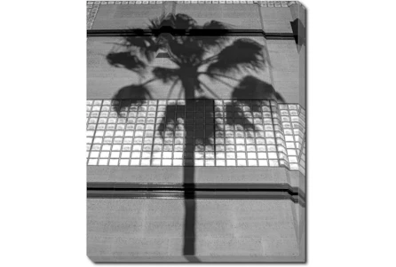 20X24 B&W Palm Tree With Gallery Wrap Canvas - Main