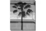 20X24 B&W Palm Tree With Gallery Wrap Canvas - Signature