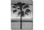 30X40 B&W Palm Tree With Gallery Wrap Canvas - Signature