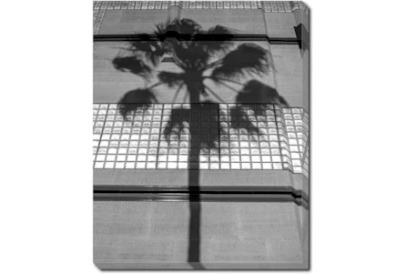 40X50 B&W Palm Tree With Gallery Wrap Canvas