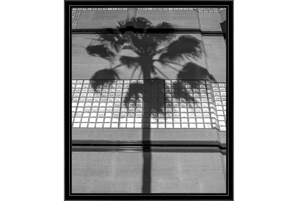 22X26 B&W Palm Tree With Black Frame