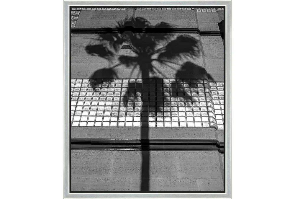 22X26 B&W Palm Tree With Silver Frame