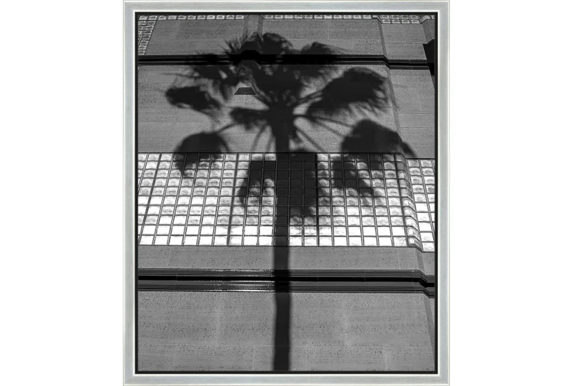 22X26 B&W Palm Tree With Silver Frame - 360