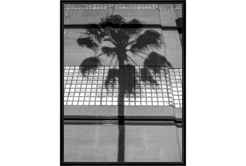 32X42 B&W Palm Tree With Black Frame - 360