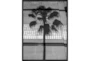 32X42 B&W Palm Tree With Black Frame - Signature