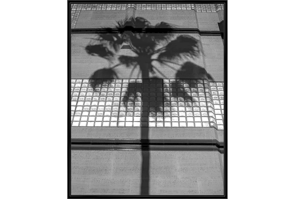 42X52 B&W Palm Tree With Black Frame