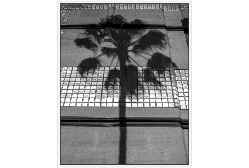 42X52 B&W Palm Tree With White Frame - 360
