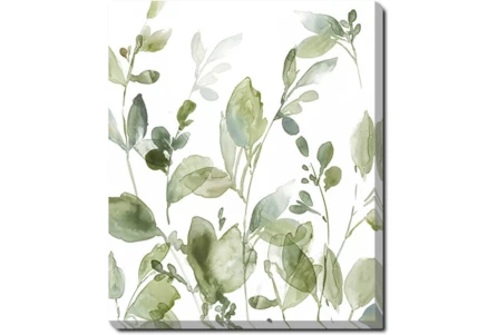 20X24 Botanical Watercolor With Gallery Wrap Canvas - Main