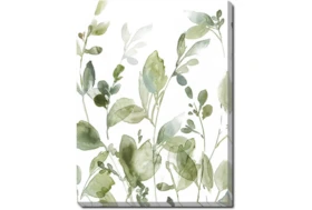30X40 Botanical Watercolor With Gallery Wrap Canvas