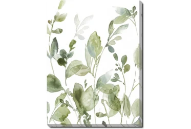 30X40 Botanical Watercolor With Gallery Wrap Canvas
