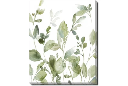 40X50 Botanical Watercolor With Gallery Wrap Canvas - Main
