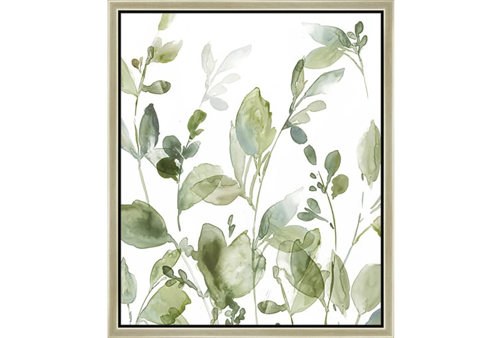22X26 Botanical Watercolor With Champagne Frame 