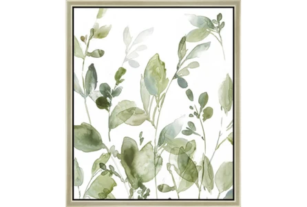 22X26 Botanical Watercolor With Champagne Frame - Main