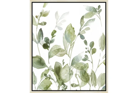 22X26 Botanical Watercolor With Birch Frame - Main