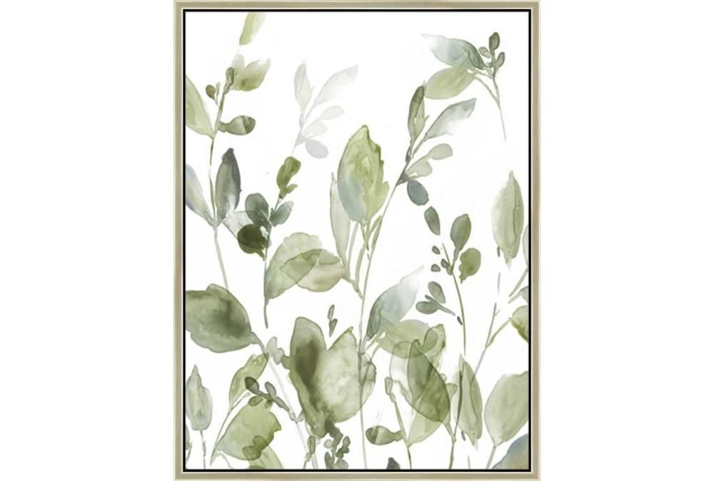 32X42 Botanical Watercolor With Champagne Frame