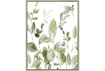 32X42 Botanical Watercolor With Champagne Frame - Main