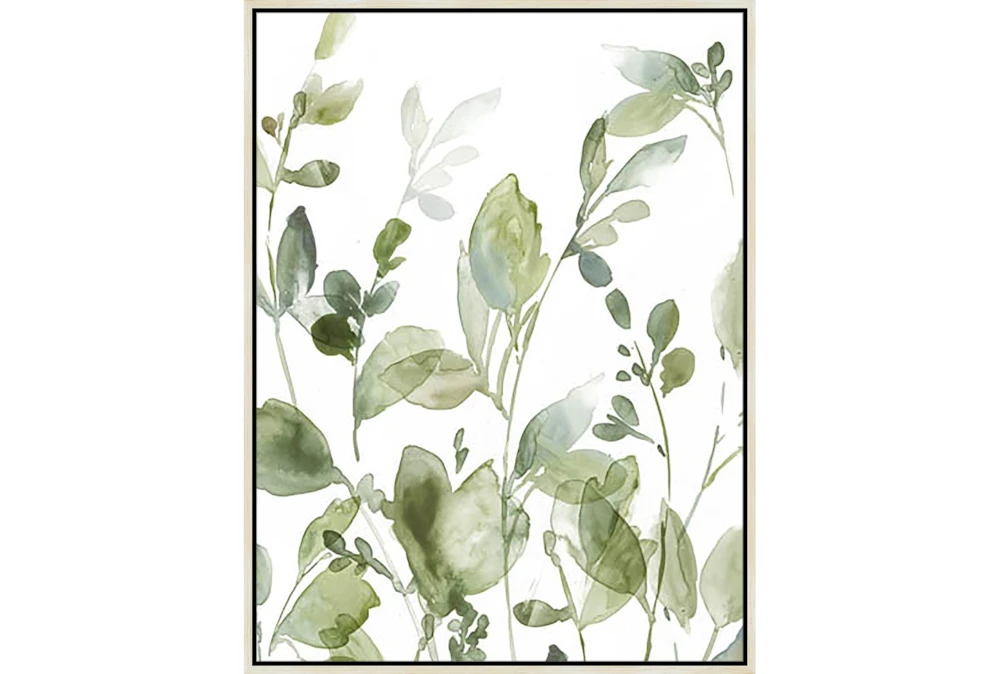 32X42 Botanical Watercolor With Birch Frame