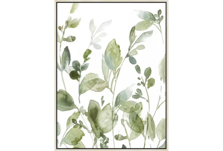 32X42 Botanical Watercolor With Birch Frame - Main
