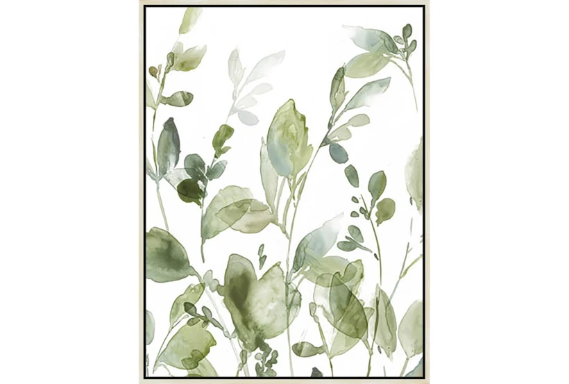 32X42 Botanical Watercolor With Birch Frame - 360