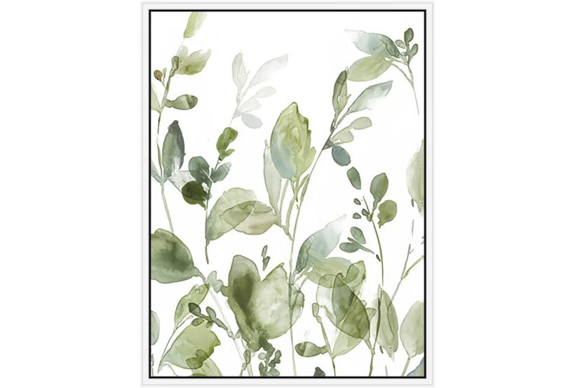 32X42 Botanical Watercolor With White Frame - 360