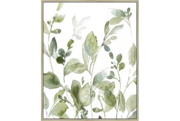 42X52 Botanical Watercolor With Champagne Frame