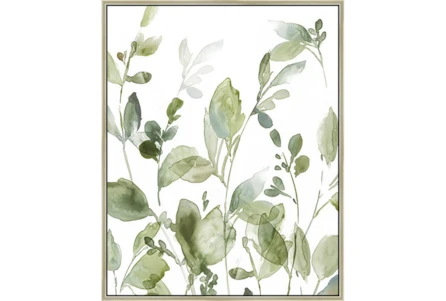 42X52 Botanical Watercolor With Champagne Frame - Main