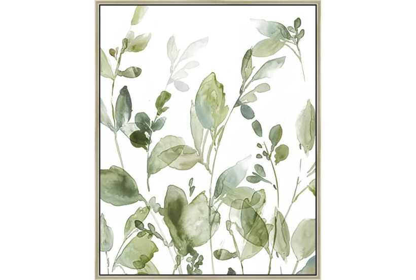 42X52 Botanical Watercolor With Champagne Frame - 360