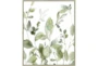 42X52 Botanical Watercolor With Champagne Frame - Signature