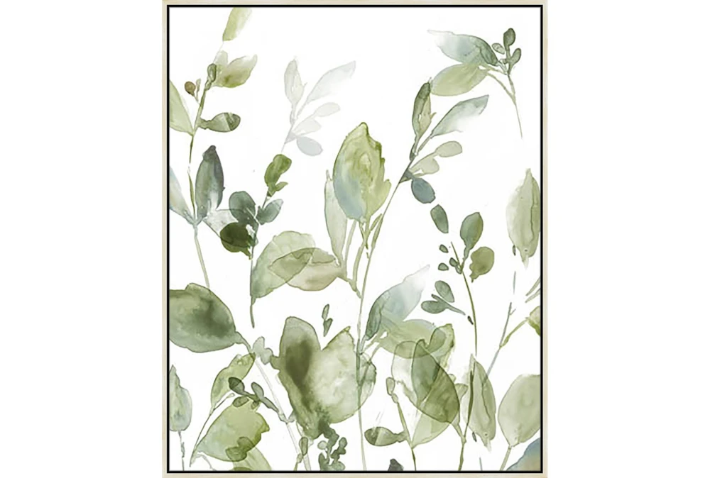 42X52 Botanical Watercolor With Birch Frame