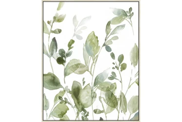 42X52 Botanical Watercolor With Birch Frame