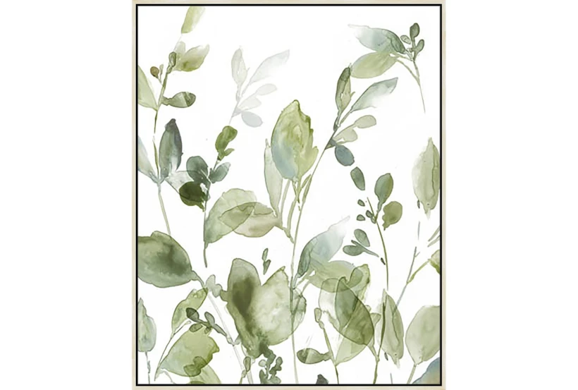 42X52 Botanical Watercolor With Birch Frame - 360