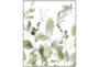 42X52 Botanical Watercolor With Birch Frame - Signature
