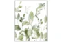 42X52 Botanical Watercolor With White Frame - Signature