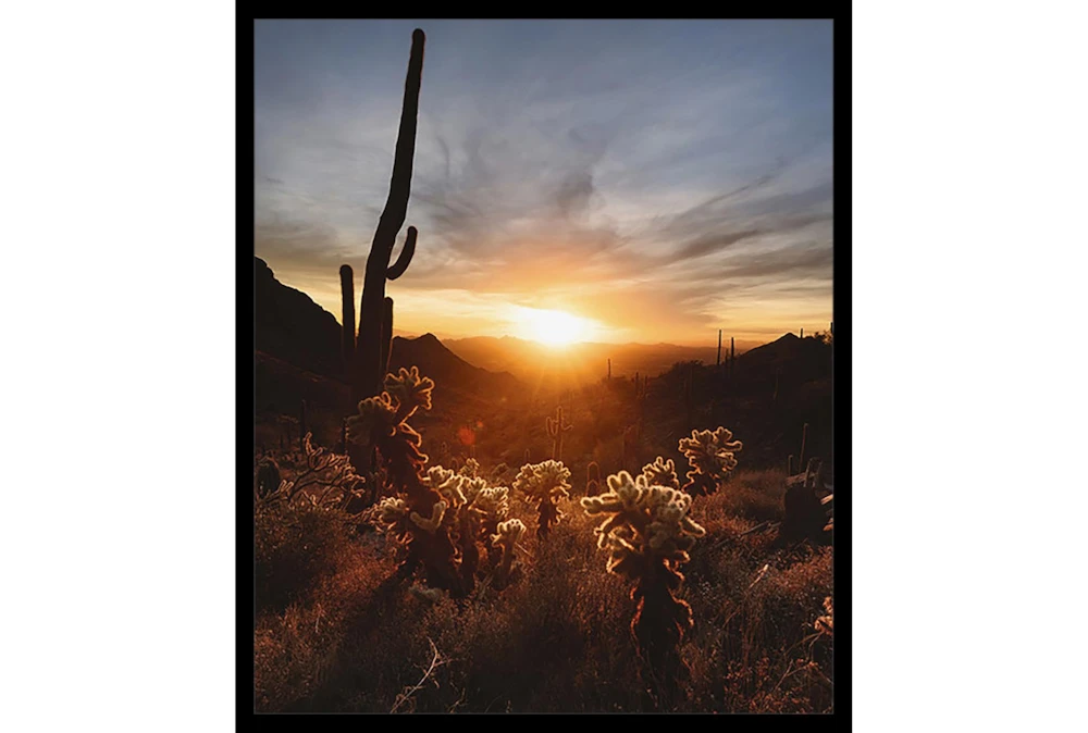 22X26 Cactus Sunset With Black Frame