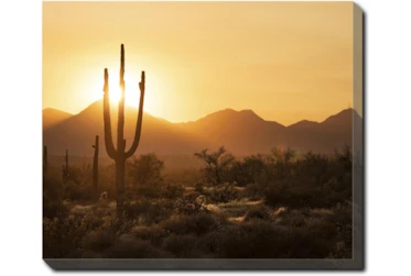 24X20 Desert Sunset With Gallery Wrap Canvas