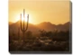 24X20 Desert Sunset With Gallery Wrap Canvas - Signature