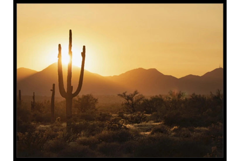 42X32 Desert Sunset With Black Frame - 360