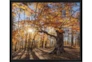 26X22 Fall Landscape With Black Frame  - Signature