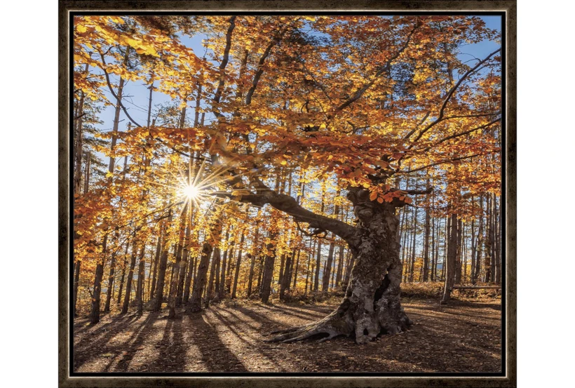 26X22 Fall Landscape With Espresso Frame - 360