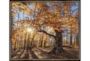 26X22 Fall Landscape With Espresso Frame - Signature