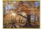 42X32 Fall Landscape With Gold Frame  - Signature