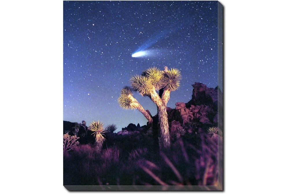 20X24 Joshua Tree Np Haley's Comet With Gallery Wrap Canvas