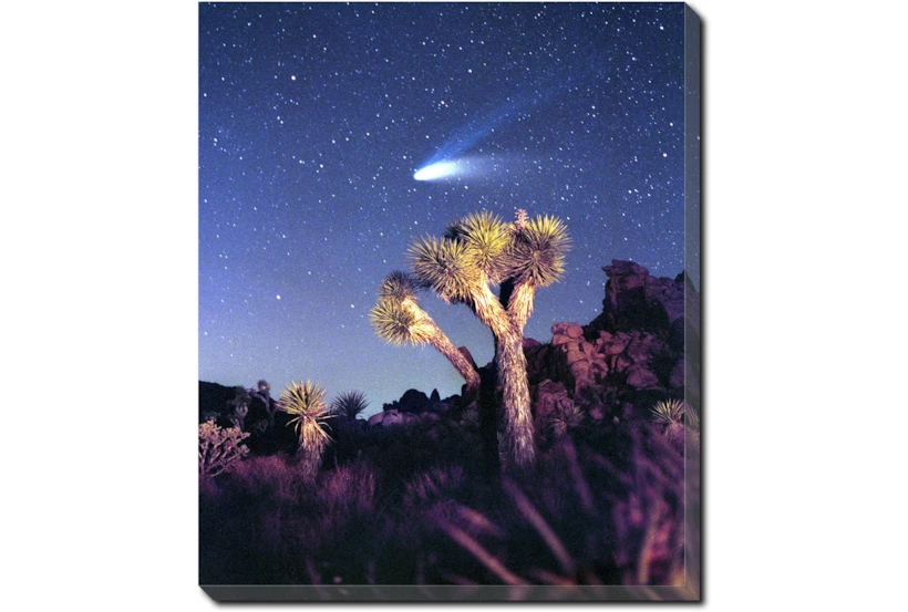 20X24 Joshua Tree Np Haley's Comet With Gallery Wrap Canvas - 360