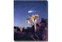 20X24 Joshua Tree Np Haley's Comet With Gallery Wrap Canvas - Signature