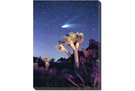 30X40 Joshua Tree Np Haley's Comet With Gallery Wrap Canvas