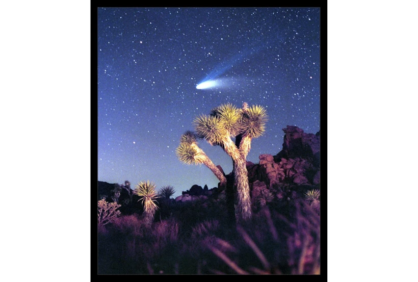 22X26 Joshua Tree Np Haley'S Comet With Black Frame - 360