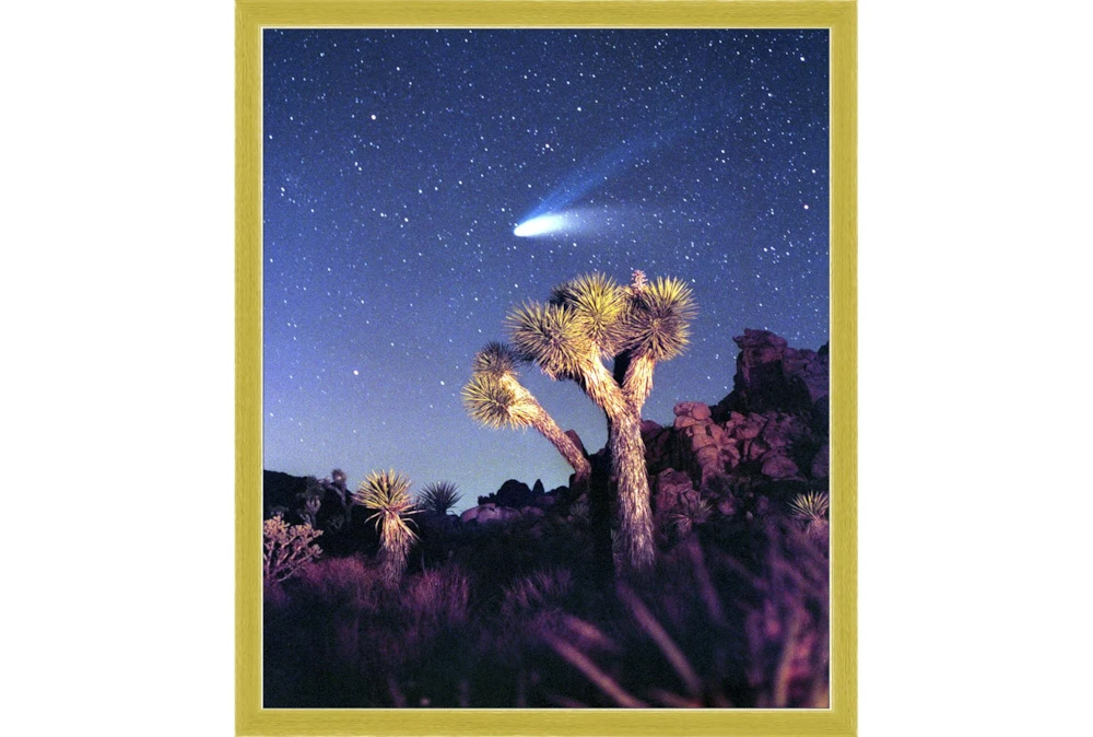 22X26 Joshua Tree Np Haley'S Comet With Gold Frame