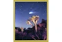 22X26 Joshua Tree Np Haley'S Comet With Gold Frame - Signature