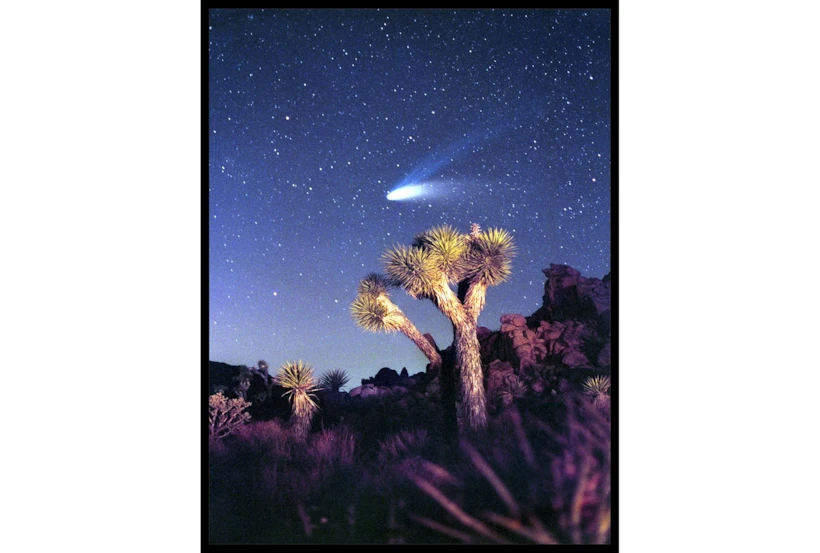 32X42 Joshua Tree Np Haley'S Comet With Black Frame - 360