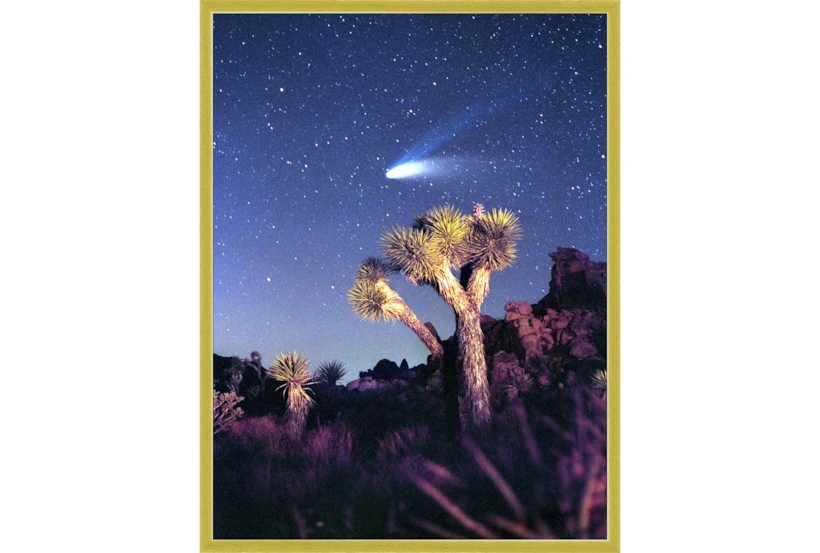 32X42 Joshua Tree Np Haley'S Comet With Gold Frame - 360